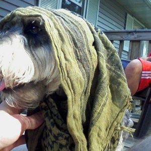 Meet your Posher, Cameron